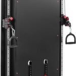 DIONE Cable Crossover 2 x 100KG Metallgewichte - Wandmontage - Kompakt 120 cm x 12 cm x 198 cm - Kabelzugstation - Kraftstation - Homegym